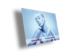 Ilford Ilfochrome Platinium Mat Biely - 148 mm x 210 mm, 5 listov